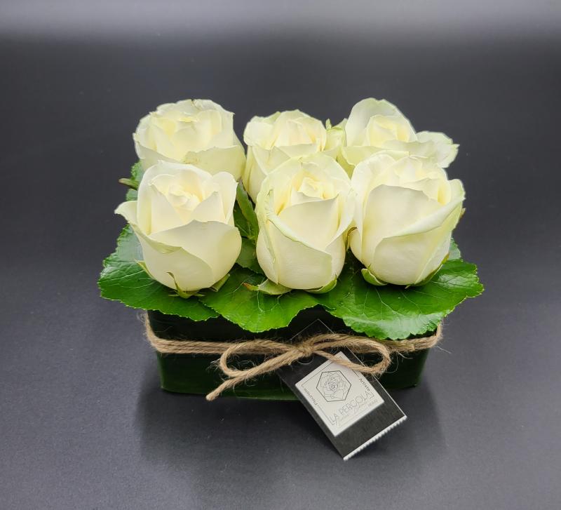 Jardin bas de 6 roses :  couleur blanche