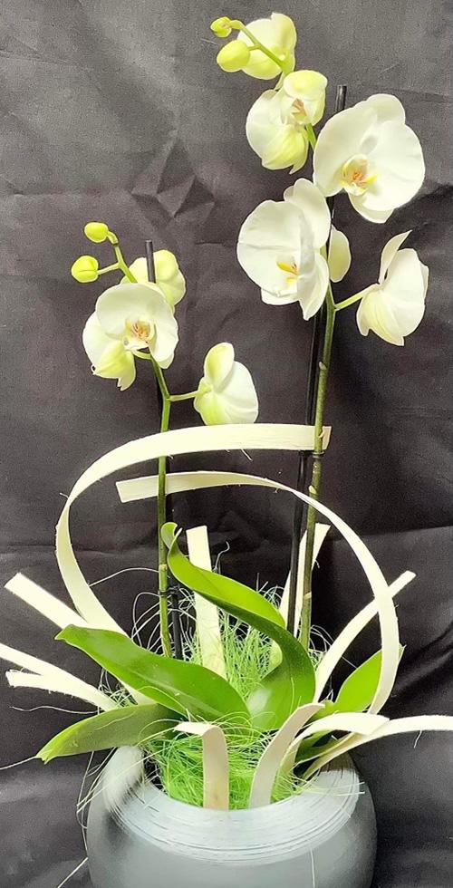 Orchidée décorée 3 branches Phalaenopsis