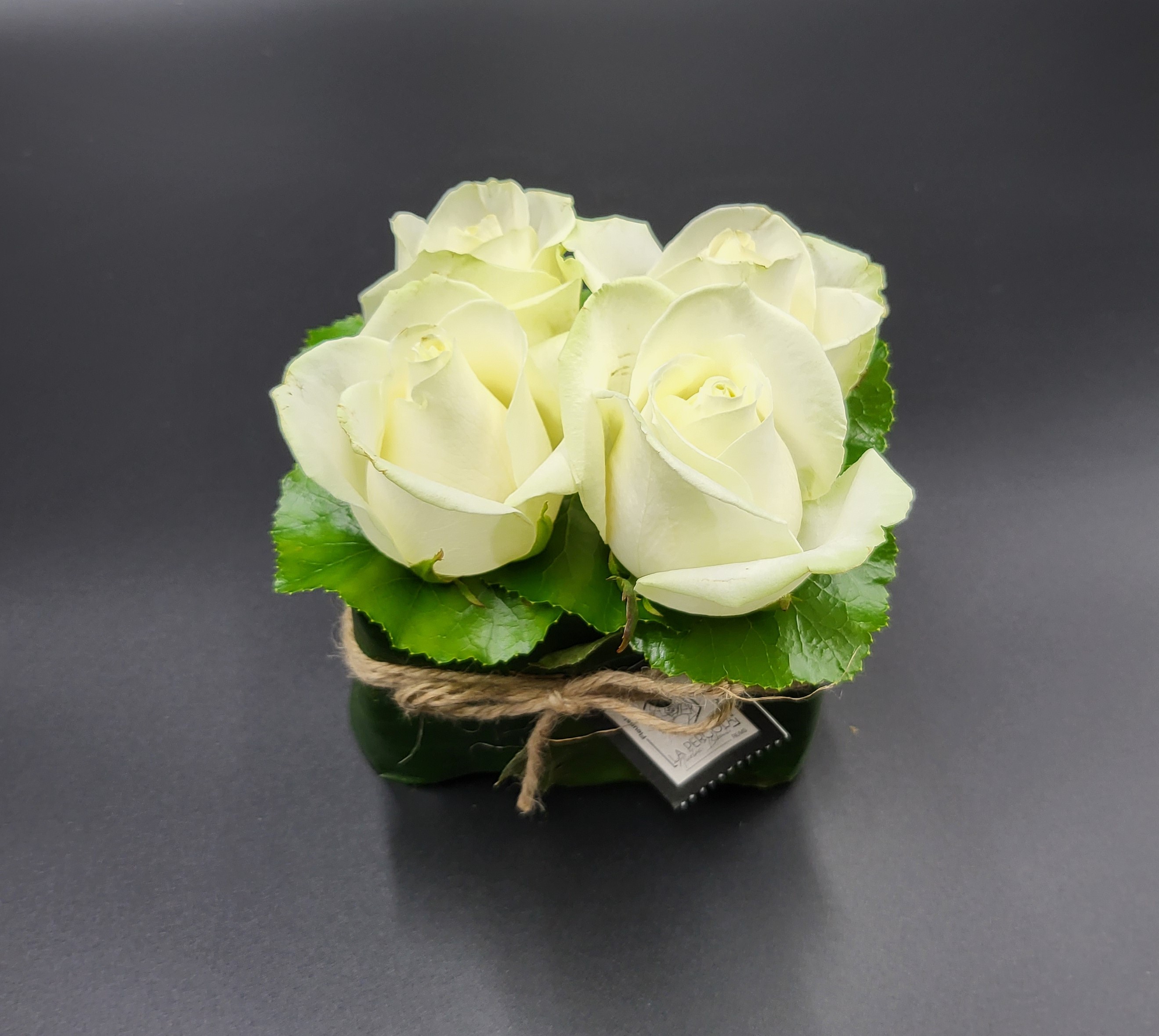 Jardin bas de 4 roses : couleur blanche